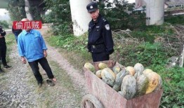 蔚县吃瓜事件最新爆料